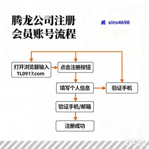 衛(wèi)星【xins4698】新  盛  公  司  線 上  平