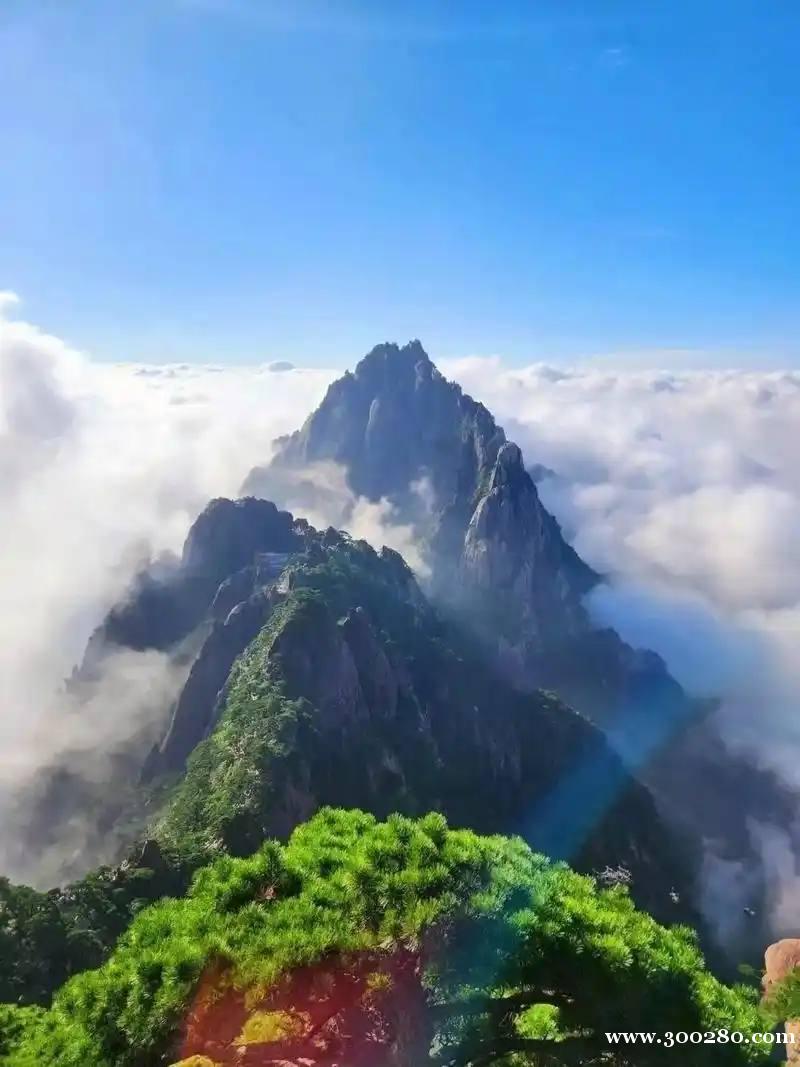 騰龍公司直屬負(fù)責(zé)人v：tltltl10